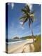 Playa Pelada, Nosara, Nicoya Peninsula, Guanacaste Province, Costa Rica, Central America-Robert Francis-Premier Image Canvas