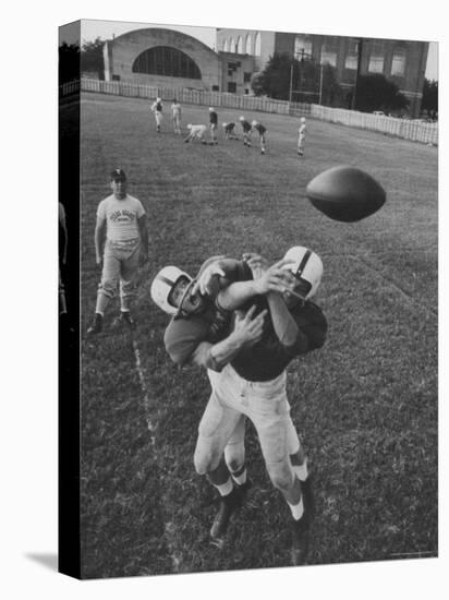 Players Don McClelland and Bobby Conrad During a Pre Season Practice of Texas A and M Football Team-Joe Scherschel-Premier Image Canvas