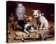 Playful Kittens-Carl Reichert-Stretched Canvas
