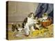 Playful Kittens-Daniel Merlin-Premier Image Canvas