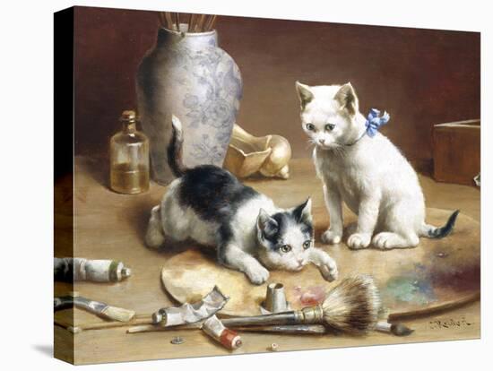 Playful Kittens-Carl Reichert-Premier Image Canvas