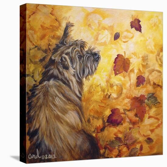 Playful Pup VIII-Carol Dillon-Stretched Canvas