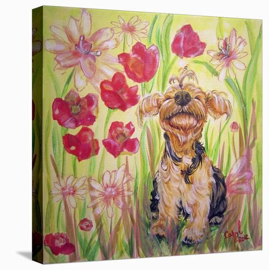 Playful Pup X-Carol Dillon-Stretched Canvas