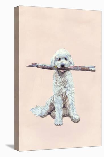 Playful Pups II-Debbie Nicholas-Premier Image Canvas