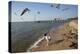 Playing With The Birds At A Beach On Mobile Bay-Carol Highsmith-Stretched Canvas
