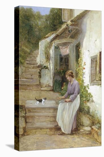Playing with the Kitten-Ernest Walbourn-Premier Image Canvas