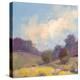 Plein Air Hill Side-Jill Schultz McGannon-Stretched Canvas