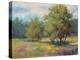 Plein Air View-Jill Schultz McGannon-Stretched Canvas