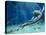 Plesiosaur Attack, Artwork-Roger Harris-Premier Image Canvas