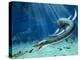 Plesiosaur Attack, Artwork-Roger Harris-Premier Image Canvas