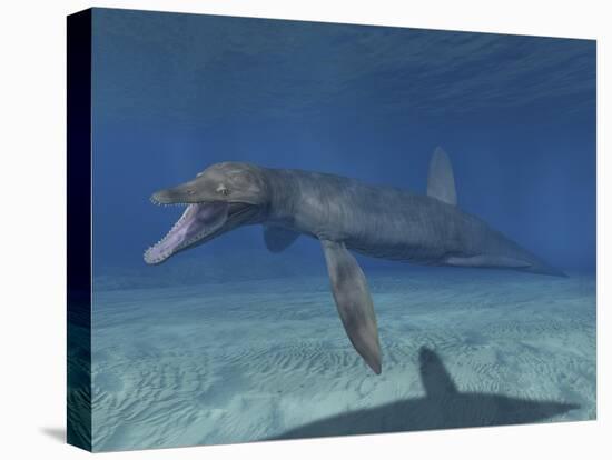 Pliosaurus Kevani, Late Jurassic of England-null-Stretched Canvas