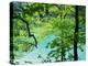 Plitvice Lakes National Park, UNESCO World Heritage Site, Croatia, Europe-Ken Gillham-Premier Image Canvas