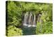 Plitvice Lakes National Park, UNESCO World Heritage Site, Croatia, Europe-Gary Cook-Premier Image Canvas