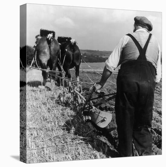Ploughing Contest 1950s-Henry Grant-Premier Image Canvas