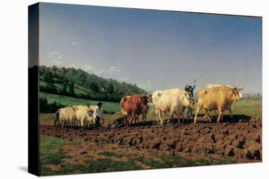 Ploughing in the Region of Nevers: Clearance-Rosa Bonheur-Stretched Canvas