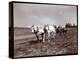 Ploughing on the Property of Alton Brooks Parker, Esopus Creek, New York, 1904-Byron Company-Premier Image Canvas