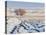 Plowed Field and Willows in Winter, Bear River Range, Cache Valley, Great Basin, Utah, USA-Scott T. Smith-Premier Image Canvas