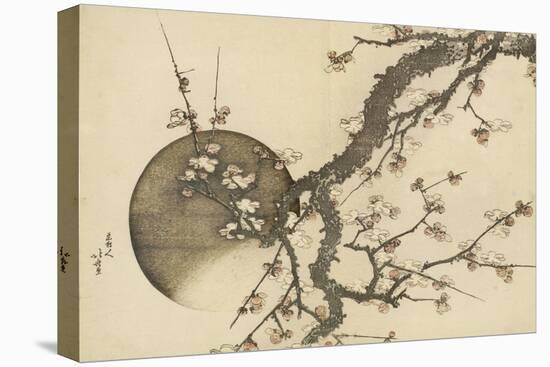 Plum Blossom and the Moon from the Book Mount Fuji in Spring (Haru No Fuji), C.1803-Katsushika Hokusai-Premier Image Canvas