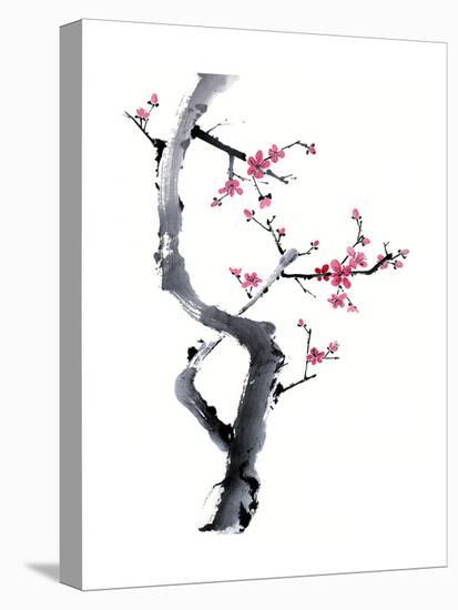 Plum Blossom Branch I-Nan Rae-Stretched Canvas