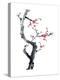 Plum Blossom Branch I-Nan Rae-Stretched Canvas