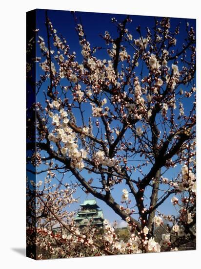 Plum Blossoms & Osaka Castle, Japan-null-Premier Image Canvas