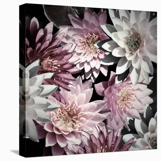 Plum Florals-Kathy Mansfield-Stretched Canvas