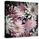 Plum Florals-Kathy Mansfield-Stretched Canvas