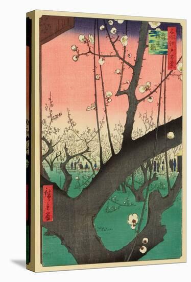 Plum Garden, Kameido, 1857-Ando Hiroshige-Stretched Canvas