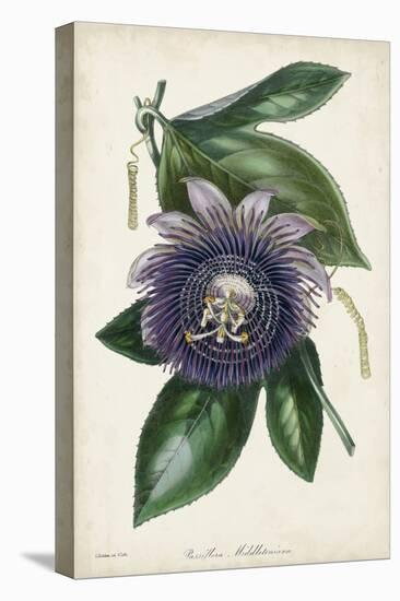 Plum Passion Flower-Paxton-Stretched Canvas