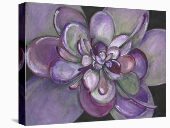 Plum Succulent-Filippo Ioco-Stretched Canvas