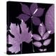 Plum Sunprint Leaves-Dan Zamudio-Stretched Canvas