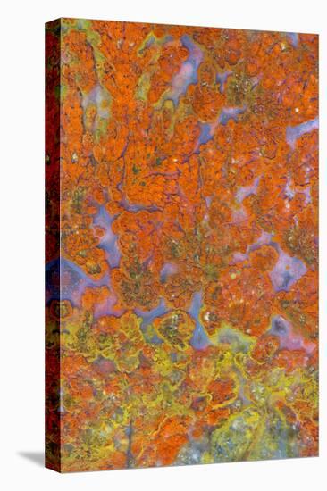 Plume Agate, Sammamish, Washington State-Darrell Gulin-Premier Image Canvas