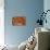 Plume Agate, Sammamish, Washington-Darrell Gulin-Premier Image Canvas displayed on a wall