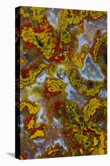 Plume and Moss Design in Agate, Fox Island WA-Darrell Gulin-Premier Image Canvas