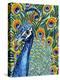 Plumed Peacock I-Carolee Vitaletti-Stretched Canvas