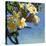Plumeria 01-Rick Novak-Stretched Canvas