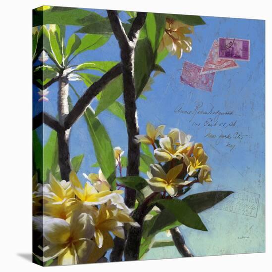 Plumeria 02-Rick Novak-Stretched Canvas