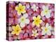 Plumeria Flowers-Darrell Gulin-Premier Image Canvas