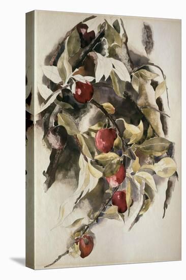 Plums, 1925 (W/C & Graphite on Wove Paper)-Charles Demuth-Premier Image Canvas