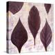 Plums The Word-Herb Dickinson-Premier Image Canvas