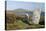 Pobull Fhinn (Finns People) Stone Circle, North Uist, Outer Hebrides, Scotland, 2009-Peter Thompson-Premier Image Canvas