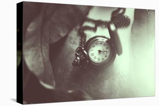 Pocket Watch-Carolina Hernandez-Premier Image Canvas