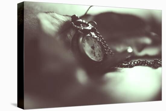 Pocket Watch-Carolina Hernandez-Premier Image Canvas