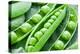 Pods of Green Peas on a Background of Leaves-Volff-Premier Image Canvas