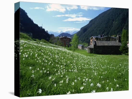 Poet's Narcissus and Tiny Old Church Above Arinsal Village, Arinsal, Andorra, Pyrenees-Pearl Bucknall-Premier Image Canvas