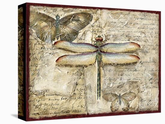 Poetic Dragonfly II-Chariklia Zarris-Stretched Canvas