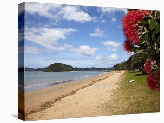 Pohutukawa Tree and Beach, Paihia, Bay of Islands, Northland, North Island, New Zealand-David Wall-Premier Image Canvas