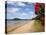 Pohutukawa Tree and Beach, Paihia, Bay of Islands, Northland, North Island, New Zealand-David Wall-Premier Image Canvas