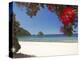 Pohutukawa Tree in Bloom and New Chums Beach, Coromandel Peninsula, North Island, New Zealand-David Wall-Premier Image Canvas