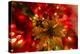 Poinsettia 2-Janet Slater-Premier Image Canvas